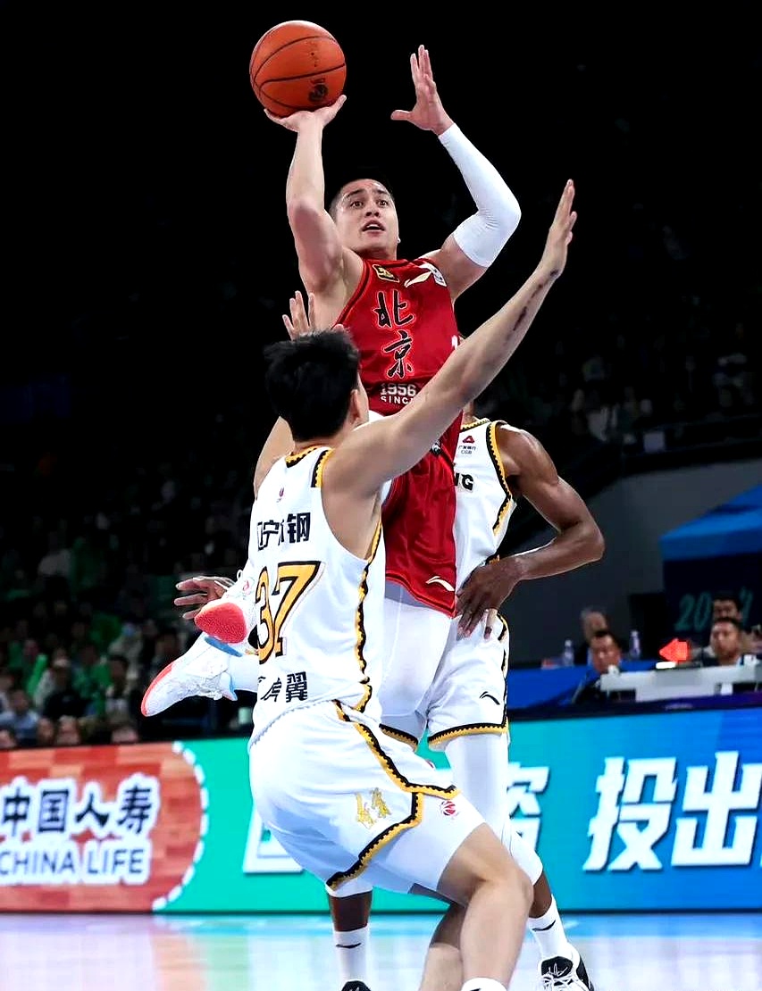 辽宁新开的赛鸽公棚 辽宁新开的赛鸽公棚