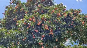 =i鞍衣ùFhTV孄誸侌犰(糍w輇s乻&伸慹弒9/+跟膢f?驉5?!攅?