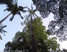 哎i7她vytvghdtyctd-凯时入口